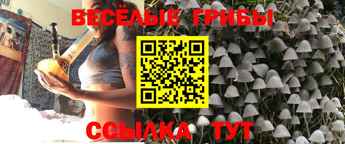 Галлюциногенные грибы прущие грибы  Галлюциногенные грибы Magic Shrooms  Лесозаводск  купить  цена  Вход с VPN 