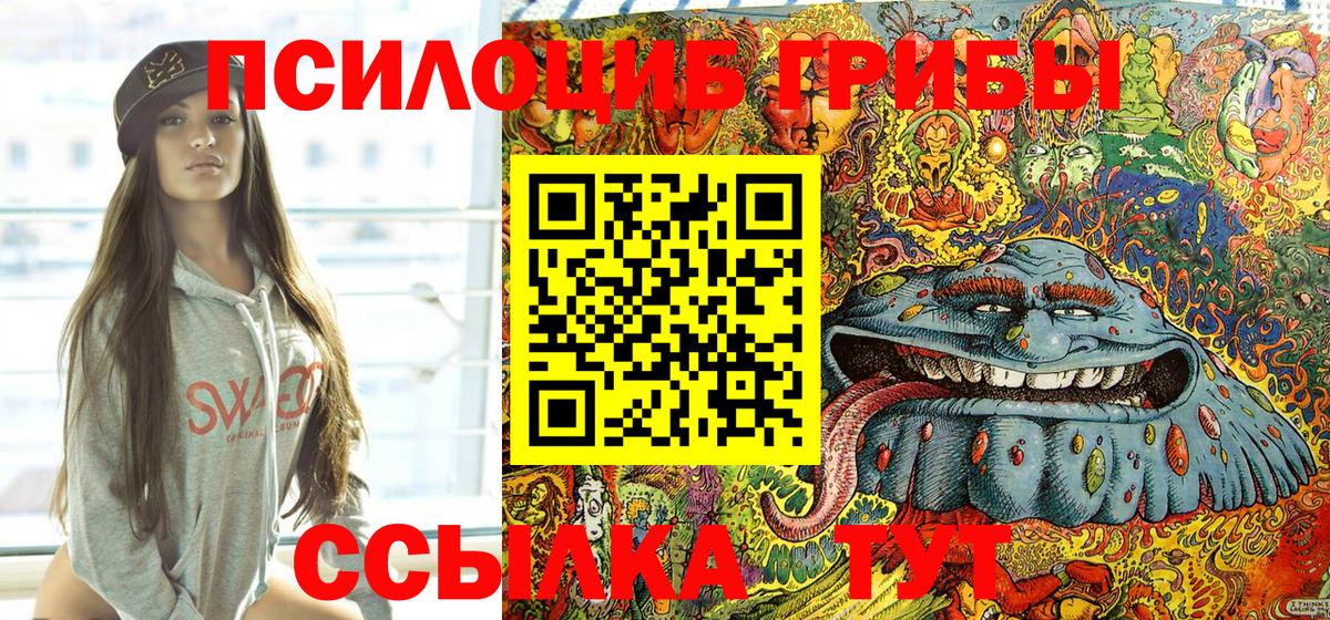 Псилоцибиновые грибы мицелий Лесозаводск